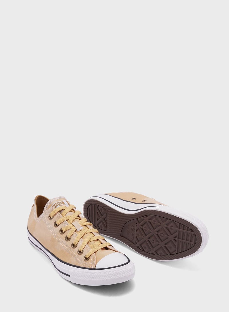 Chuck Taylor All Star