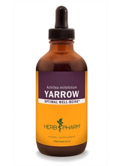 HERB PHARM Yarrow Flowering Tops Liquid Extract - 4 Ounce  - Image 1