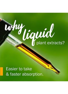HERB PHARM Yarrow Flowering Tops Liquid Extract - 4 Ounce  - Image 3