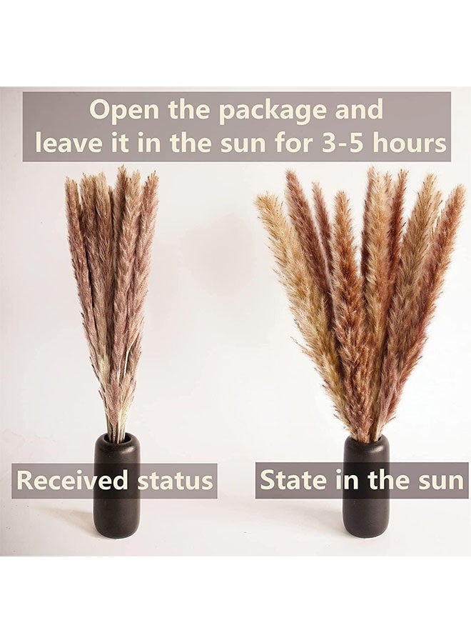 LEDIN Boho Pampas Grass 100 PCS  Dried Pampas Decor for Wedding, Party, Home - Image 3