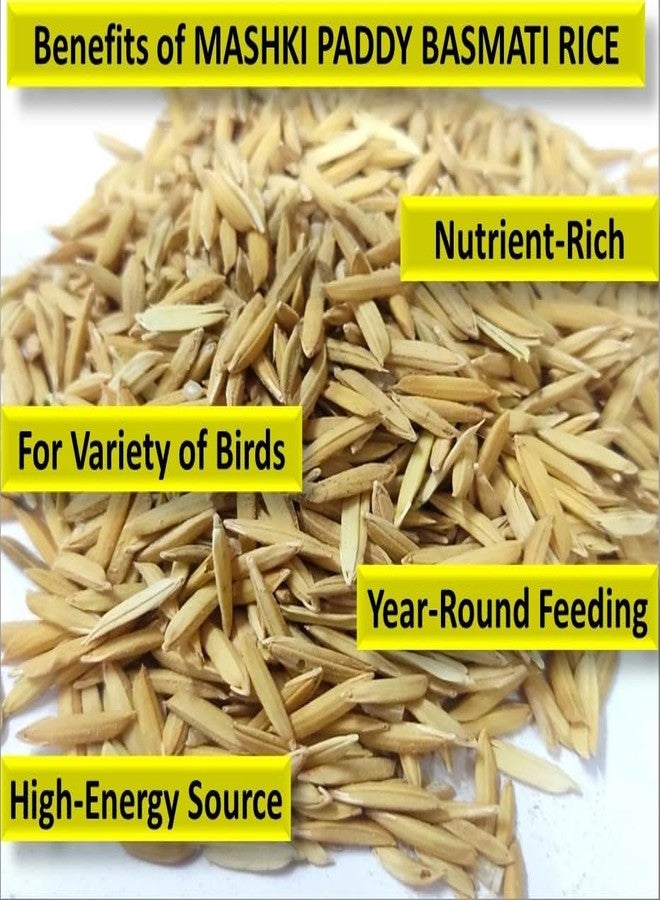 MASHKI Raw Basmatirice Paddy for Birds Food All Life Stage Birds Nellu Large Size Vadlu for Bird Seed (2 KG),All Life Stages - Image 4