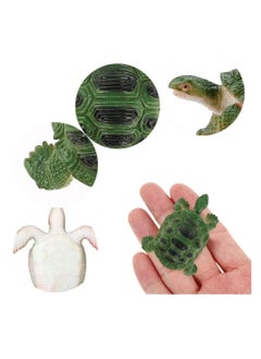 واي آند دي 8 Pcs Turtle Figurines Toys, Durable Model Tortoise Realistic Small Tortoise, Miniature for Kids Toddler Bathtub, Party Ornaments  - Image 2