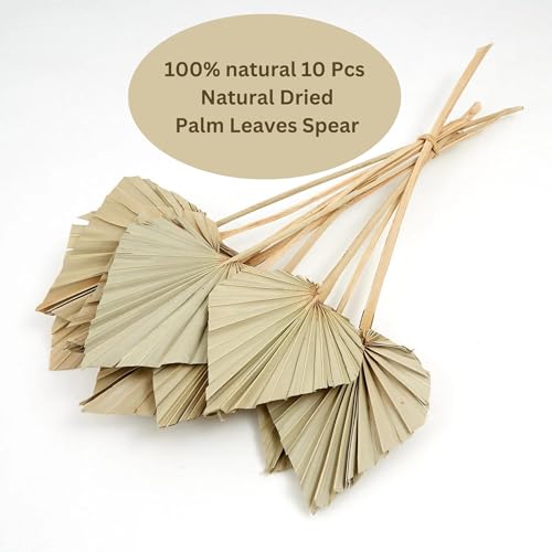 JOYNAGAR Dried Palm Leaves Spear with Stem for Decoration | 5 Pcs Set | Boho Flowers Decor | 15-18 Inch | Palm Fan Leaf with Stem | Dry Flowers Home Decor, Weeding, Party (Natural Brown) - Image 3
