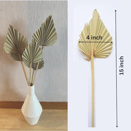 JOYNAGAR Dried Palm Leaves Spear with Stem for Decoration | 5 Pcs Set | Boho Flowers Decor | 15-18 Inch | Palm Fan Leaf with Stem | Dry Flowers Home Decor, Weeding, Party (Natural Brown) - Image 2