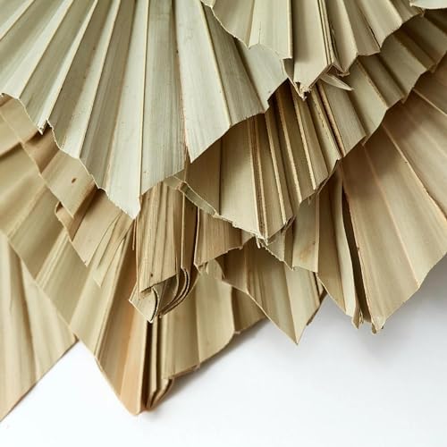 JOYNAGAR Dried Palm Leaves Spear with Stem for Decoration | 5 Pcs Set | Boho Flowers Decor | 15-18 Inch | Palm Fan Leaf with Stem | Dry Flowers Home Decor, Weeding, Party (Natural Brown) - Image 4