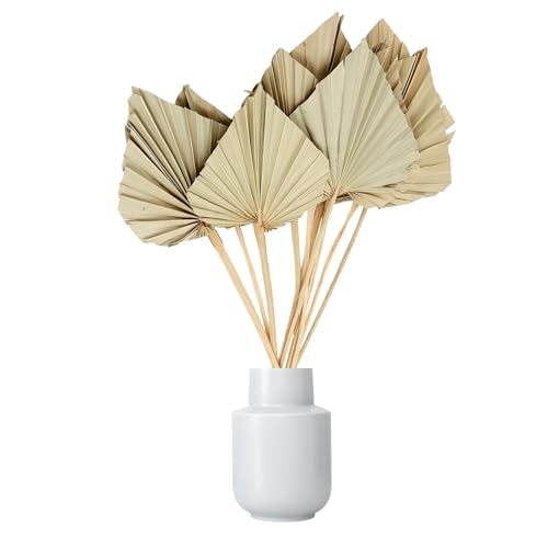 JOYNAGAR Dried Palm Leaves Spear with Stem for Decoration | 5 Pcs Set | Boho Flowers Decor | 15-18 Inch | Palm Fan Leaf with Stem | Dry Flowers Home Decor, Weeding, Party (Natural Brown) - Image 1
