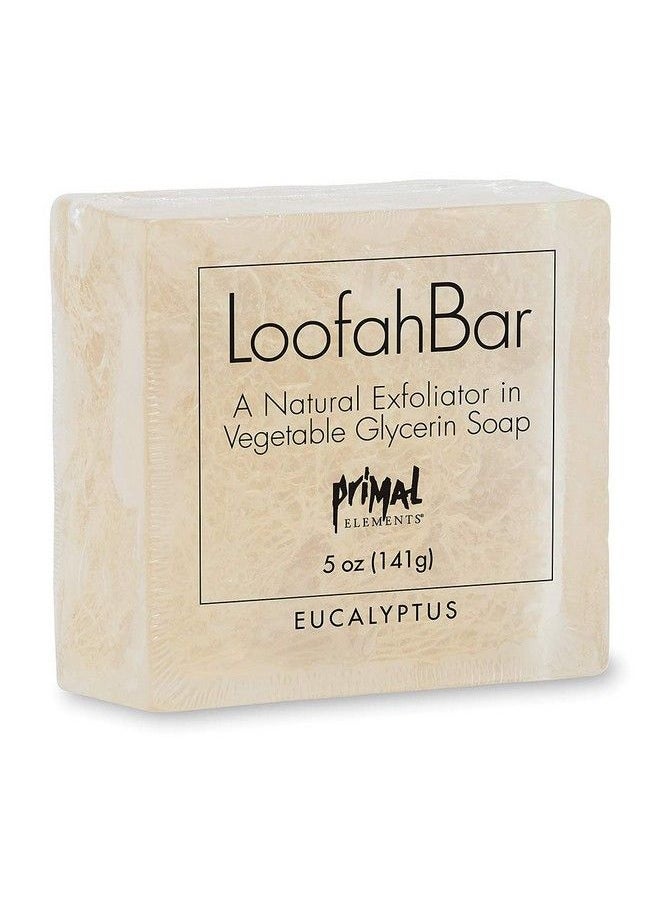 Eucalyptus Loofah Bar Soap 5 Ounce - pzsku/Z12662F03C63EAE75E2D2Z/45/_/1683530110/f309dce2-dd30-4d37-ae5f-d53ff73765c1