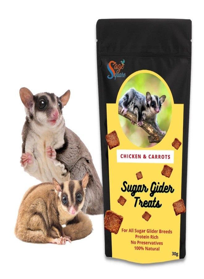 سايج سكوير حلوى سيج سكوير بنكهة الدجاج والجزر، وجبة خفيفة غنية بالبروتين ومقرمشة، 30 غرام - Image 1