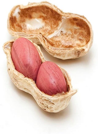 20Pcs Peanut Seeds Harvest Crops for Garden Horticulture Planting Non-GMO Vegetable Nut Plants - pzsku/Z1268B4F942F52E61506AZ/45/_/1734622264/0b4588d5-d152-47e5-a229-751e0c1f672b