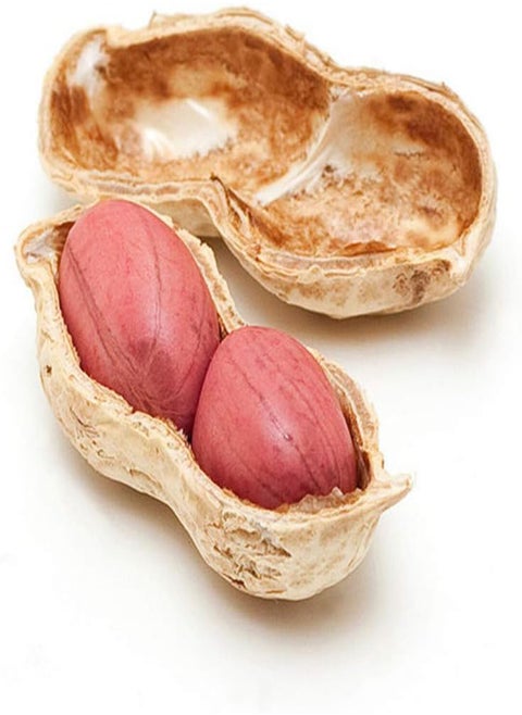 20Pcs Peanut Seeds Harvest Crops for Garden Horticulture Planting Non-GMO Vegetable Nut Plants