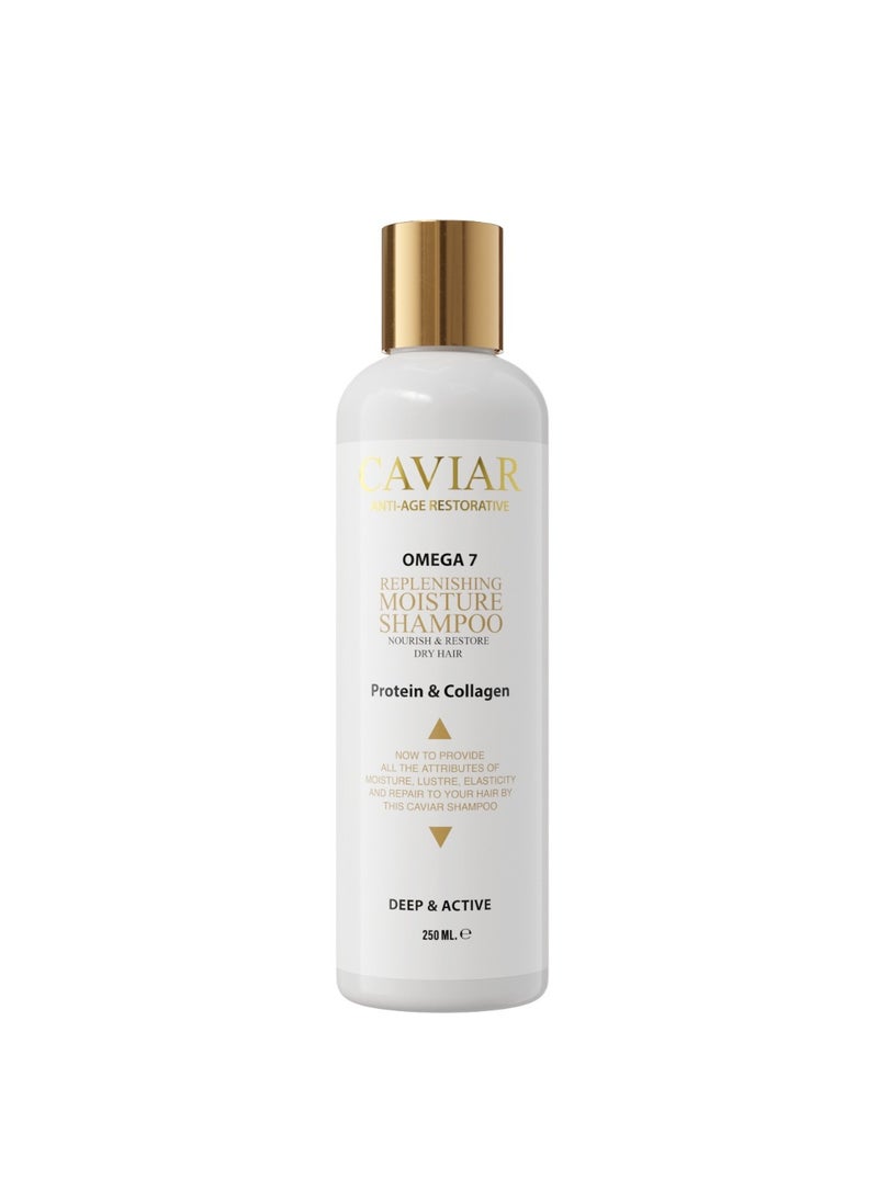 Hairplexx - Hairplexx Caviar Protein & Collagen Shampoo 250ml - Image 1
