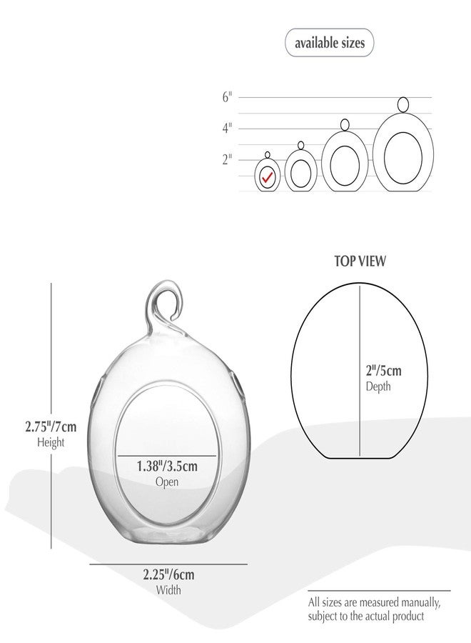 WGV International WGV Hanging Terrarium Globe Bulk, Width 2.25", Height 2.75", DIY Air Succulent Planter, Clear Glass Vase Orb with Flat Bottom, Candle Holder for Windowsill Outdoor Garden Decor, 12 Pieces - Image 2