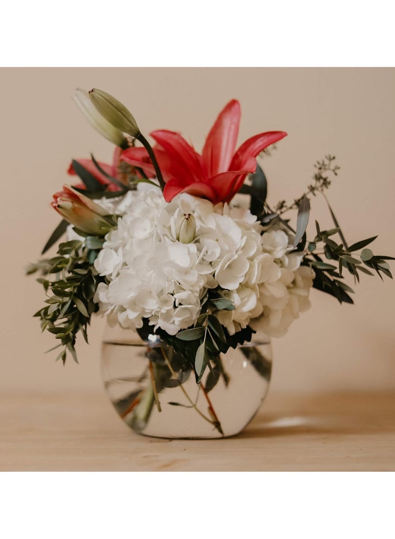 𝗬𝗜𝗡𝗭𝗨𝗢 Round Glass Vase Clear Glass Fish Bowl Vase  Round Bubble Bowl for Flowers, Centerpieces, Terrariums & Home Decor Weddings, Events, Office & Table Displays