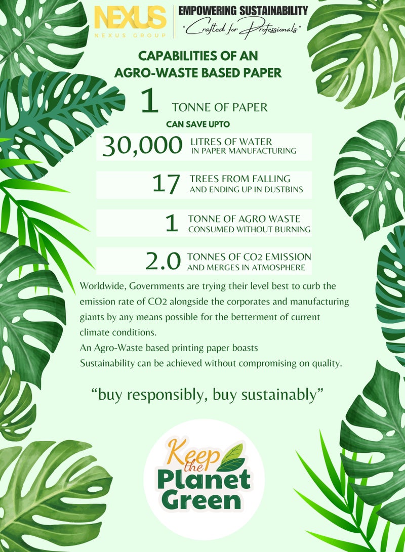 Trident Ecofriendly Trident Royal Touch A4 80 GSM Copy Paper | 500 Sheets - An Agro Based Product - Image 2