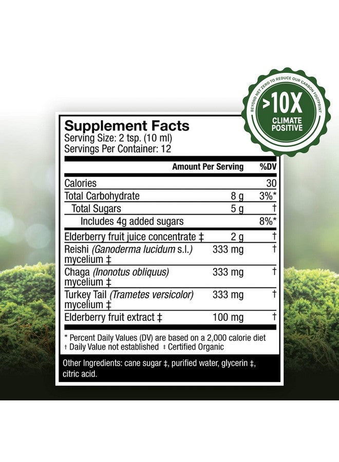 Host Defense شراب إلدربيري بلس سوبر فود دعم المناعة مكمل فطر 4 أونصة سائلة - Image 3