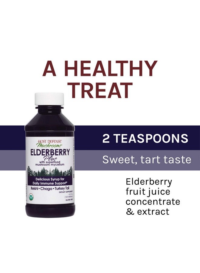 Host Defense شراب إلدربيري بلس سوبر فود دعم المناعة مكمل فطر 4 أونصة سائلة - Image 5