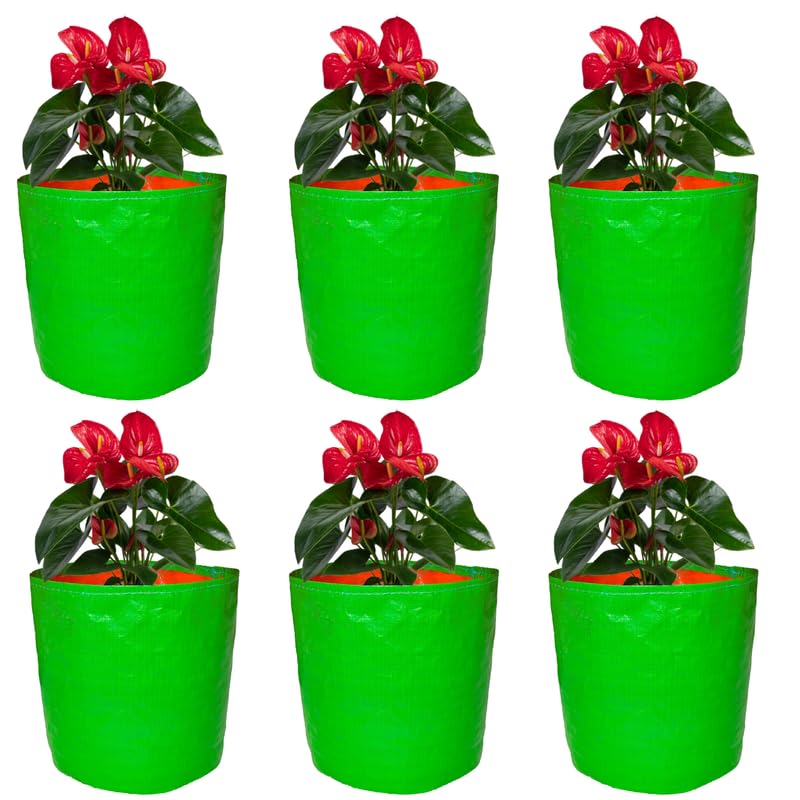 GroWonder Plant Grow Bags for Plants, 9X9 inches, Pack of 6, Terrace Gardening Pots, Woven Fabric Leafy Fruits Plastic Growing Bags - Image 1