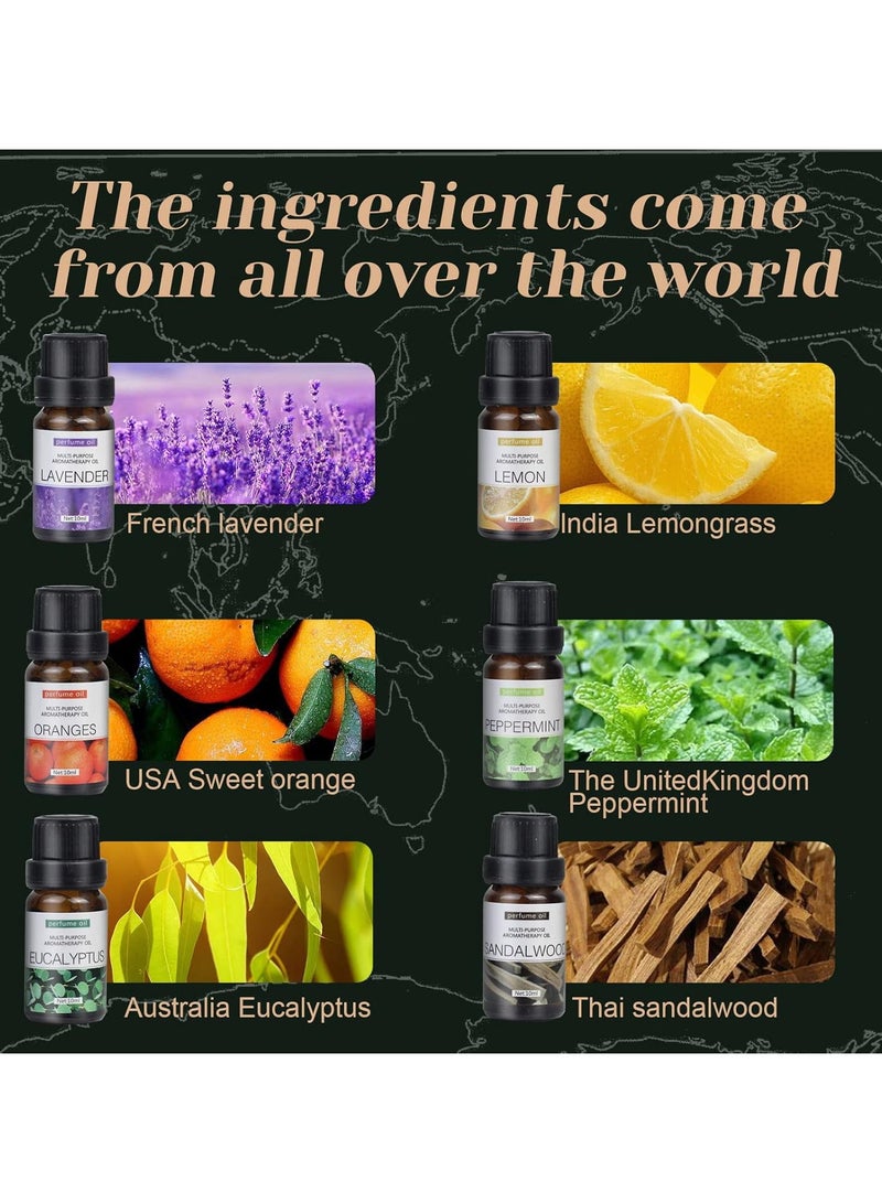 DIGI CORE Essential Oils Set Top 12 Blends For Diffusers, Home Care, Candle Making Scents, Fragrance, Aromatherapy, Humidifiers Lavender, Oranges, Eucalyptus, Lemon, Peppermint & Sandalwood 10ML Each Bottle - Image 3