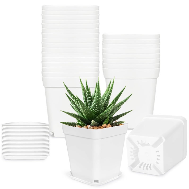 Anyumocz 24Pcs 3" Square Plastic Plant Pots,White Nursery Pots with Saucers,Seedling Nursery Transplanting Planter Container for Plants,Garden,Flower,Home,Office,Balcony Decor,Indoor,Outdoor - Image 1