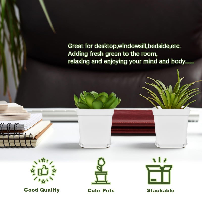 Anyumocz 24Pcs 3" Square Plastic Plant Pots,White Nursery Pots with Saucers,Seedling Nursery Transplanting Planter Container for Plants,Garden,Flower,Home,Office,Balcony Decor,Indoor,Outdoor - Image 5