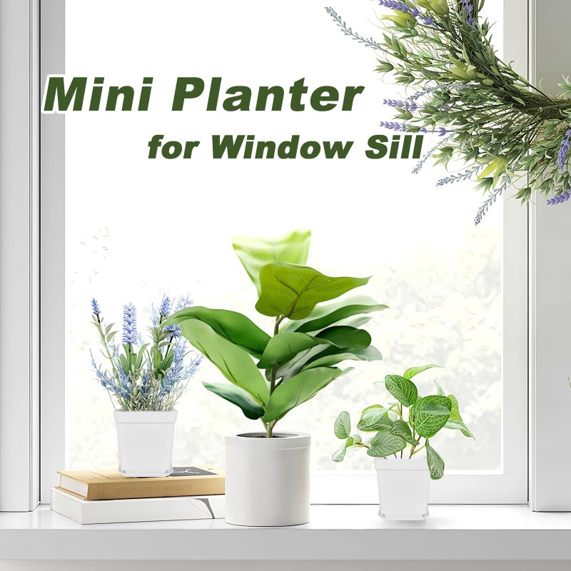 Anyumocz 24Pcs 3" Square Plastic Plant Pots,White Nursery Pots with Saucers,Seedling Nursery Transplanting Planter Container for Plants,Garden,Flower,Home,Office,Balcony Decor,Indoor,Outdoor - Image 4