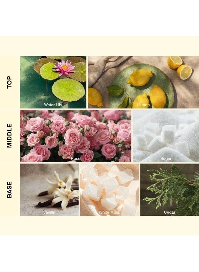 ISCENT | Vanilla Rose Fragrance Oil Refill for Ensō Diffuser – 100ml Signature Scent with Lemon, Rose & Vanilla | A Delicate Harmony of Citrus Light, Sugared Petals & Creamy Woods for Your Home - Image 2