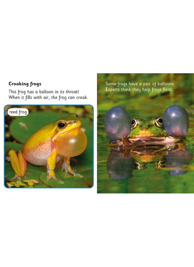 Fantastic Frogs: Band 04/Blue  - Image 1