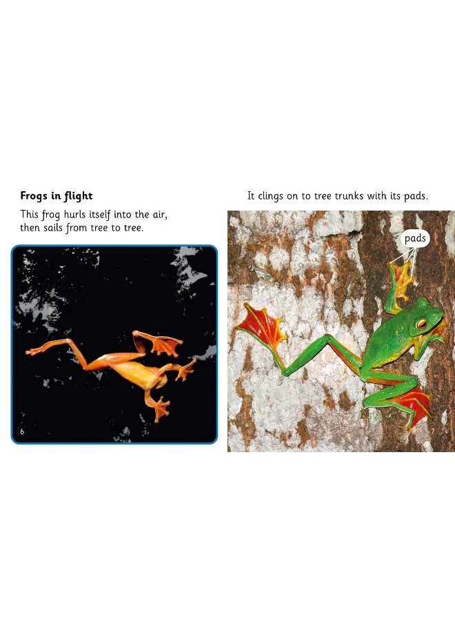 Fantastic Frogs: Band 04/Blue  - Image 5