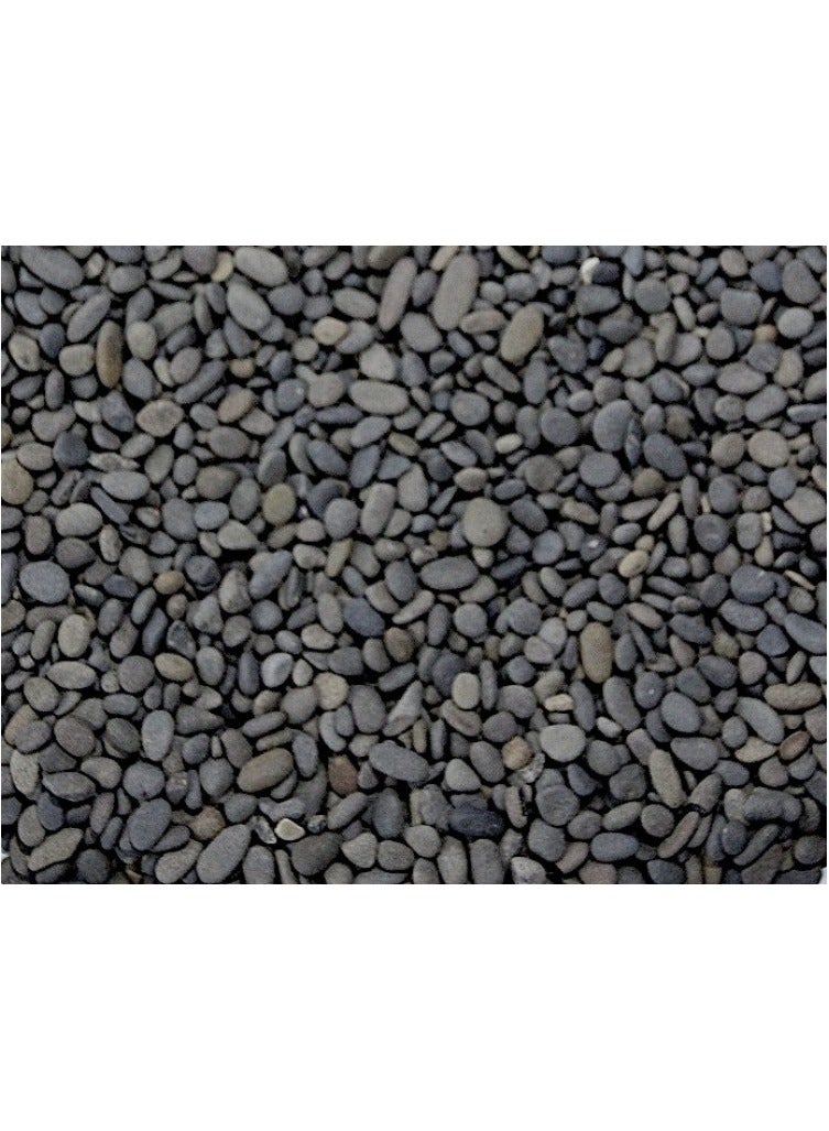 Dymax Natural Black Gravel 2–3mm – 4KG