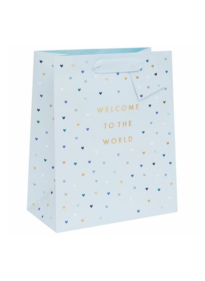 Share the Love New Born, Welcome to the world, Blue - Large Gift Bag 