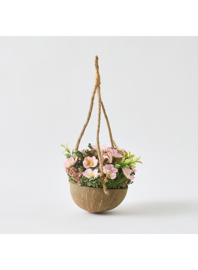Home Box Caven Cosmos Coconut Shell Hanging Planter 15 x 15 x 16 cm  - Image 5