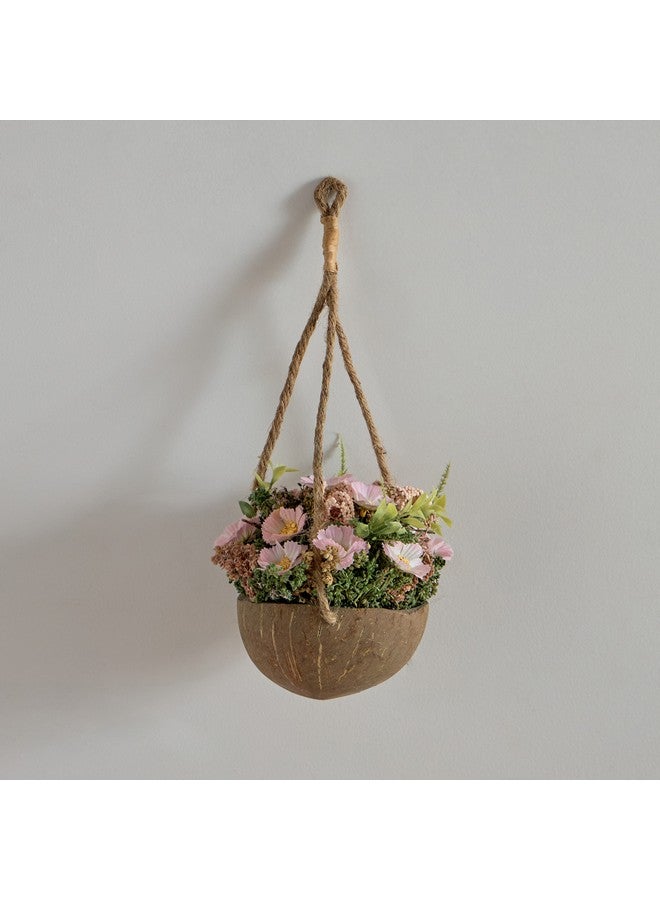 Home Box Caven Cosmos Coconut Shell Hanging Planter 15 x 15 x 16 cm  - Image 2