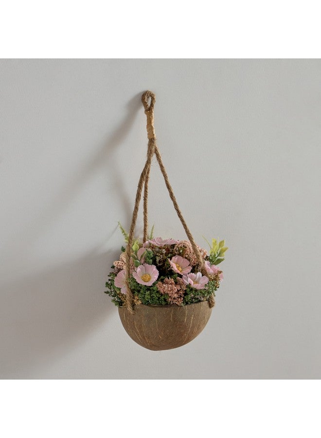 Home Box Caven Cosmos Coconut Shell Hanging Planter 15 x 15 x 16 cm  - Image 1