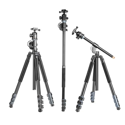 Digitek (DTR 540 BH) Heavy Duty Multi-Angle DV Tripod Cum Monopod, 360° Ball Head, 180° Tilt, Flip Leg Lock, 4-Section Adjustable, 8Kg Max Load, 6.26ft Height, Portable for DSLR, Camera & Videography - Image 1
