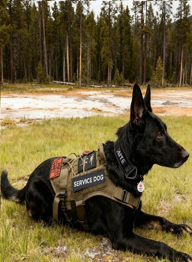 WALITEFU Service Dog Patches 2Pcs, Servcie Dog ID Tag Easily Attach to Collar, Harness (Large 1.50 x 5.12) - Image 2