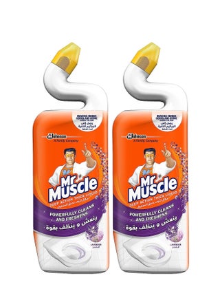 منظف المرحاض السائل السميك لافندر ديب أكشن 750 مل عبوة من 2 - pzsku/Z127A2DFCEBAE8D01403BZ/45/_/1691072745/3a21dd2a-b817-4355-91fc-a54f6bd330dc