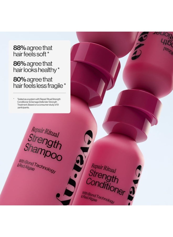Eva NYC Repair Ritual Strength Conditioner, 10 fl oz - Image 2