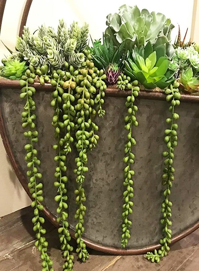 CLONG 3pcs Artificial Fake String of Pearls Plant Faux Succulents Hanging Plants for Wall Home Garden Decor - Image 5