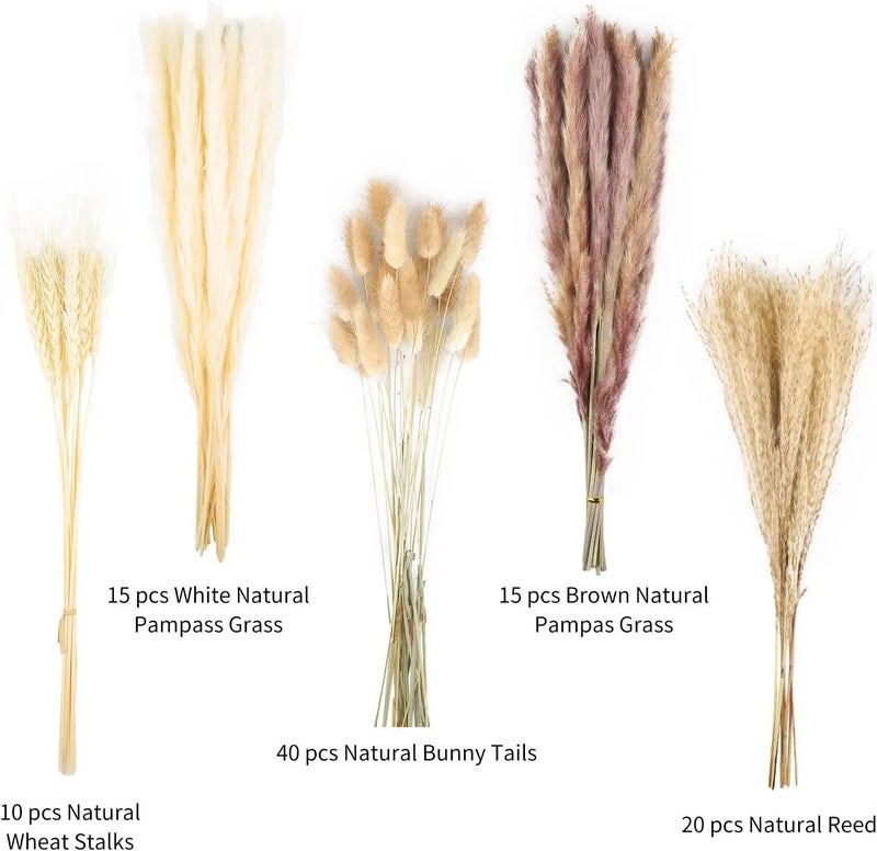Bluejw G36 Wedding Decor Pampas Grass Bouquet - Boho Dried Flowers Mix with Bunny Tails & Natural Dried Plants for Christmas Home Decor - Image 1