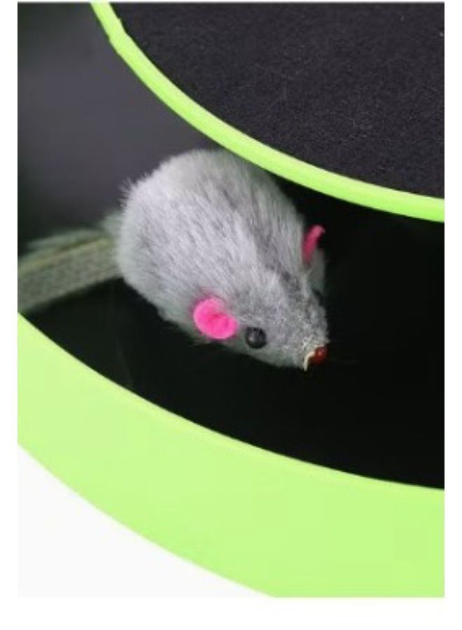 هوايانج لعبة الإمساك بالفأر ومطاردة حركته أخضر أسود - Image 2