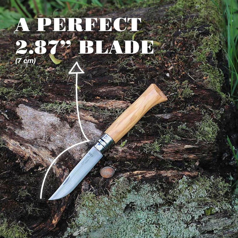 Opinel No.06-No.09 Premium Woods, Stainless Steel Folding Pocket Knife, Made in France (No.06/Olive) - Image 3