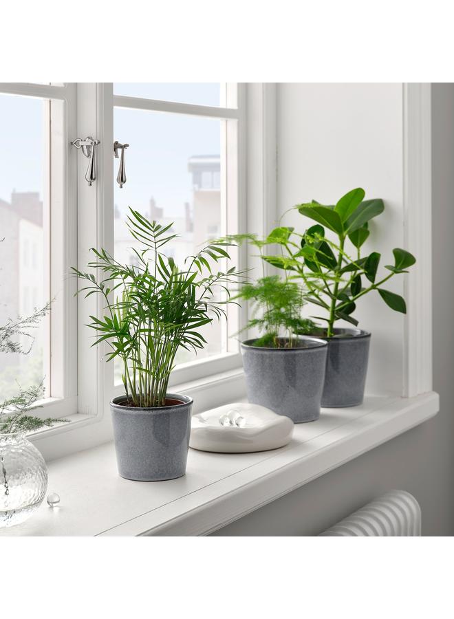 erorex Plant Pot, In/Outdoor/Grey, 9 Cm - Image 4