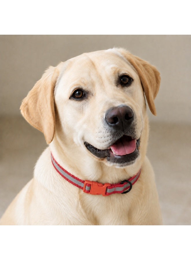 Bravo Reflective Nylon Collar for Small Dogs, Adjustable Neck Size up to 35cm (14in), Available in Yellow, Orange and Red - Image 1