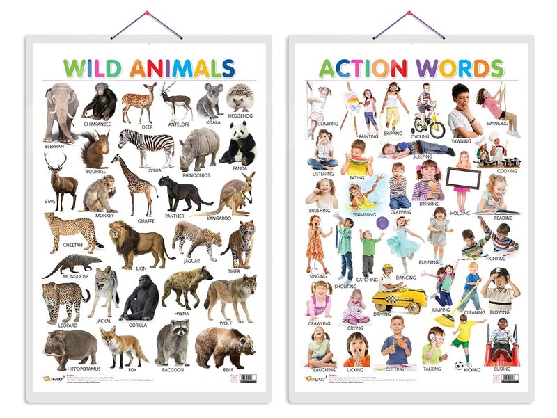 GoWoo Set of 2 Wild Animals and Action Words Early Learning Educational Charts for Kids | 20"X30" inch |Non-Tearable and Waterproof | Double Sided Laminated ... Kindergarten and Nursery Students - Image 1