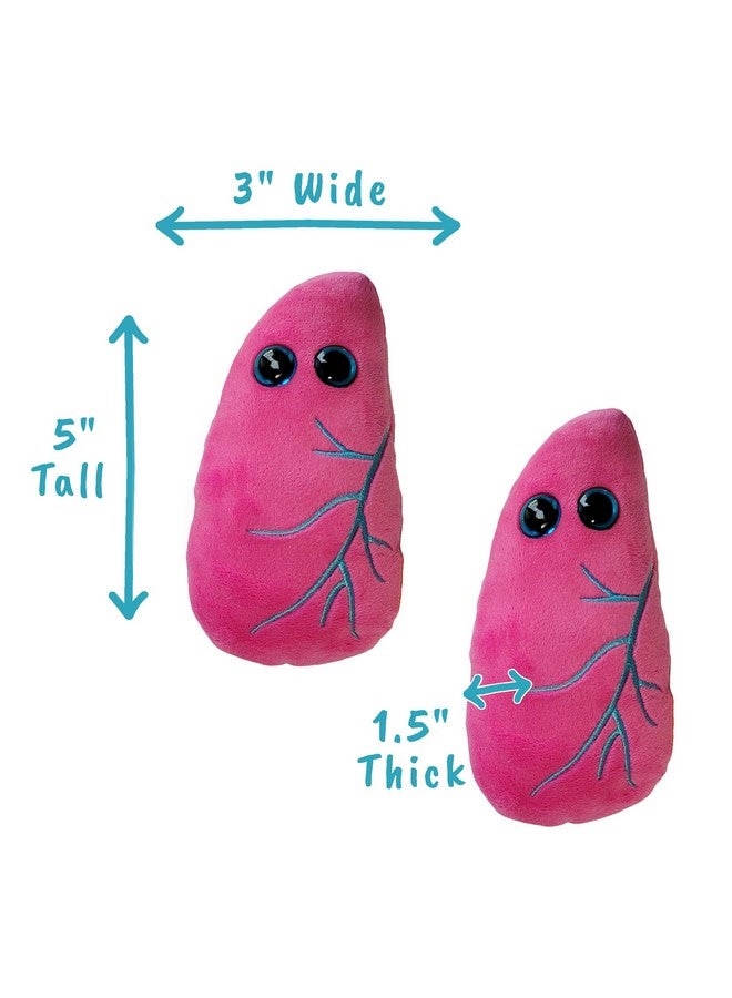 Giant Microbes GIANTmicrobes Lung Plush, Respiratory Therapist Gifts, Pulmonology Gifts, Respiratory Therapy, Lung Cancer Survivor Gift, Anatomy Model - Image 4