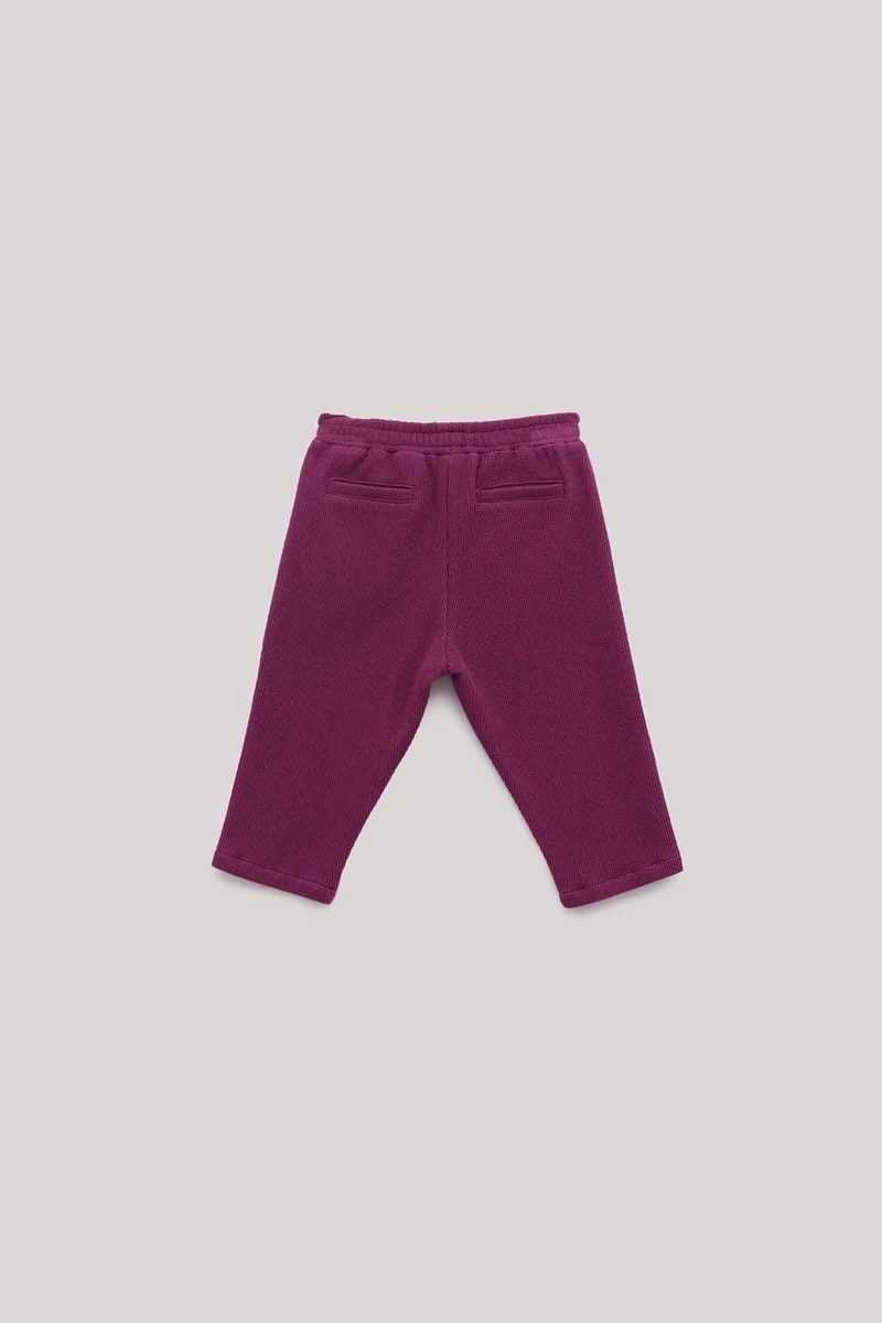 GB Baby Baby Girl Plum Sweatpants