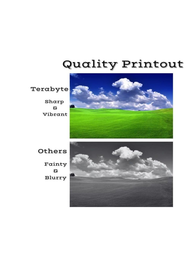 Terabyte 216A W2410A Toner Cartridges (with Chip), Compatible Toner Set for HP W2411A W2412A W2413A HP Color Laserjet Pro MFP M183fw M182nw M182n M155a M155nw (4 Pack, Black, Cyan, Yellow, Magenta) - Image 3