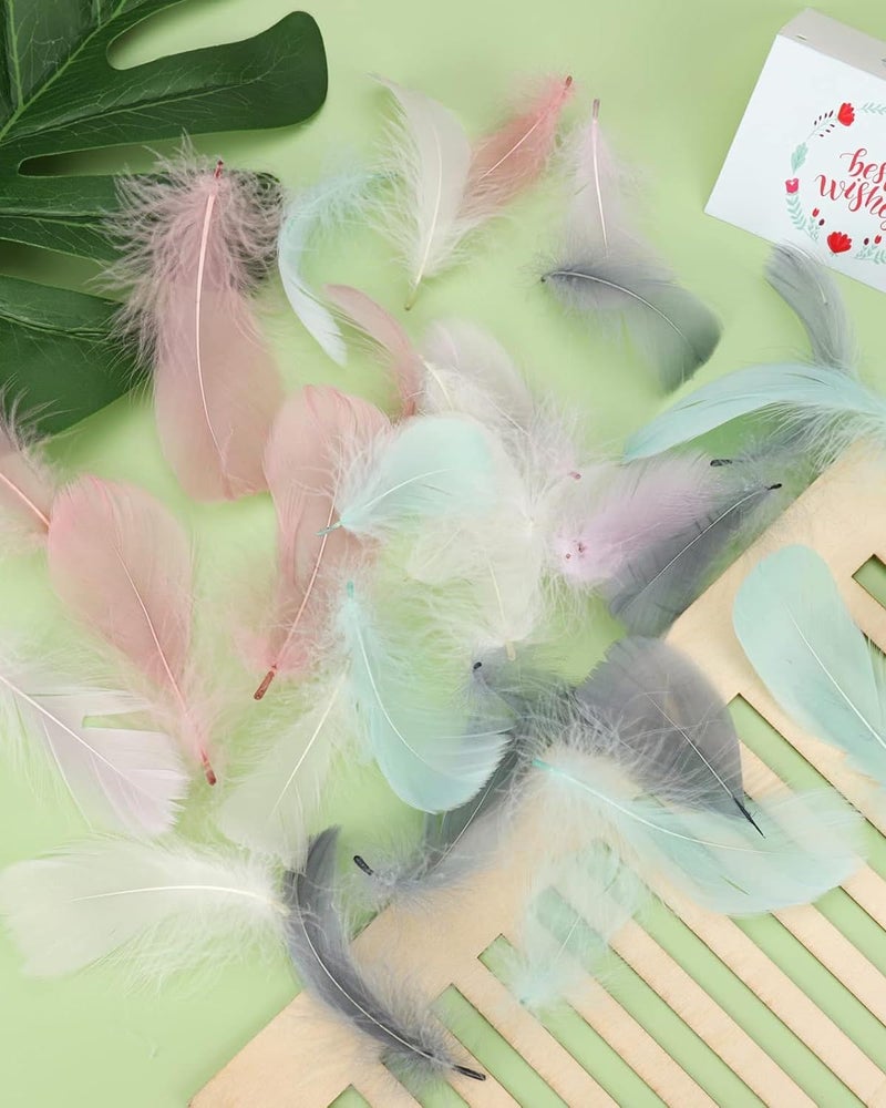 KalamkariX 200 PCS Feathers for Crafts, Premium Mixed Color Feathers for DIY Projects, Dream Catcher Making, Home Decor, Party Decorations, Jewelry Making, School Projects, Handmade Creations - Image 5