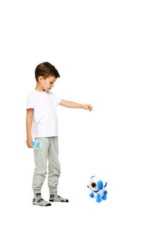 Lexibook Power Puppy  Mini  My Little Robot Dog  Robot Dog With Sounds Music Light Effects Voice Repeat And Sound Reaction Toy For Boys And Girls  Rob02Dog  - Image 5