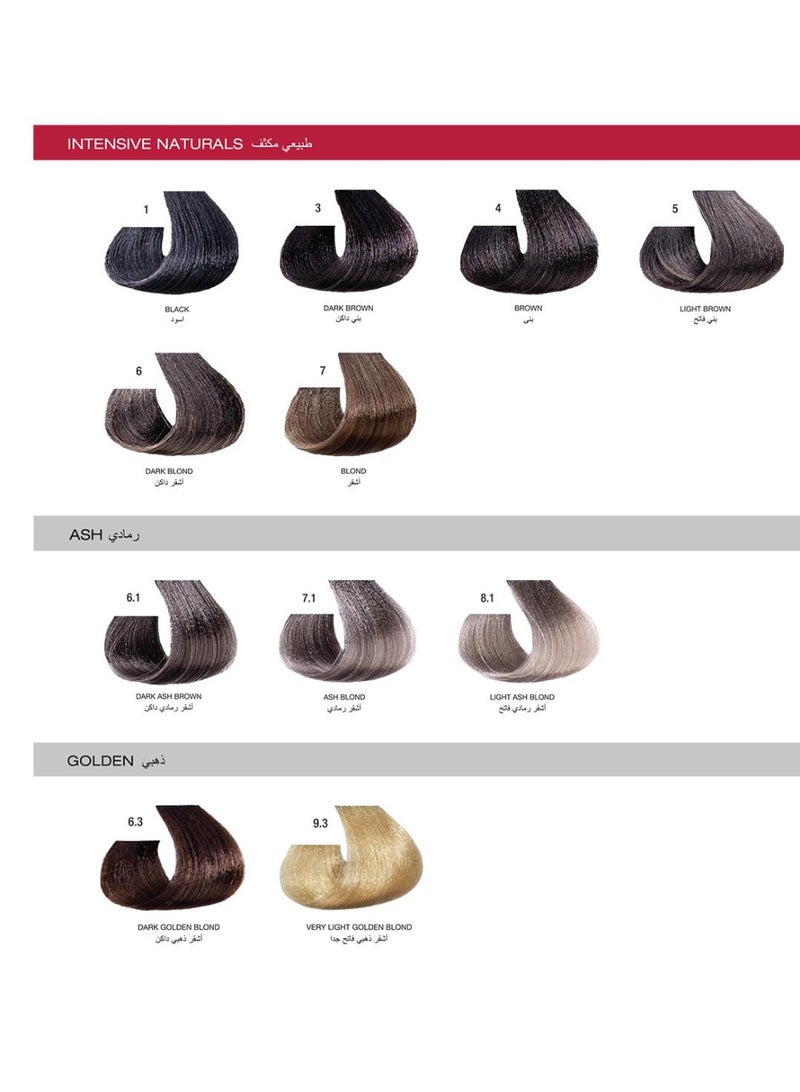 Coco care Multi Care Intensive Coloring Kit -  6.1 Dark Ash Blond - Image 4
